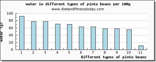 pinto beans water per 100g